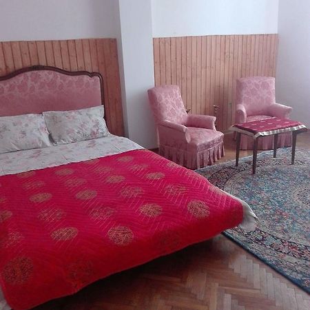 Alfredo Hostel Craiova Exteriér fotografie