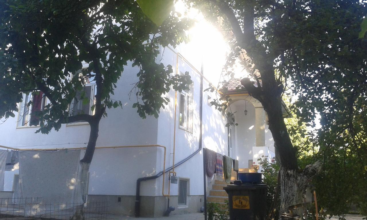 Alfredo Hostel Craiova Exteriér fotografie